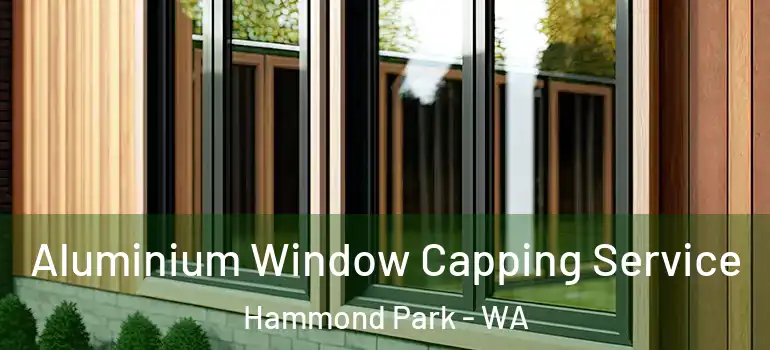  Aluminium Window Capping Service Hammond Park - WA