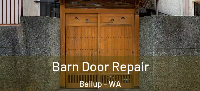 Barn Door Repair Bailup - WA