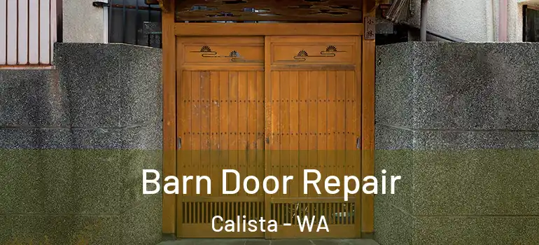 Barn Door Repair Calista - WA
