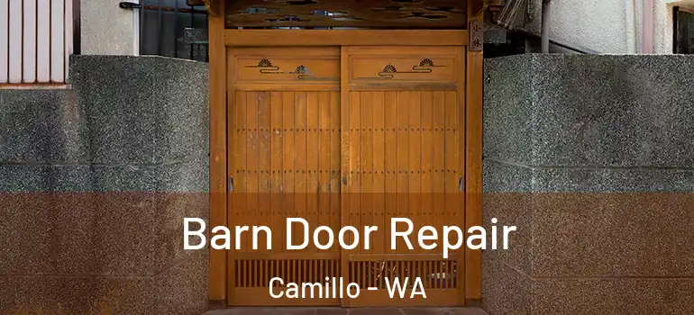  Barn Door Repair Camillo - WA