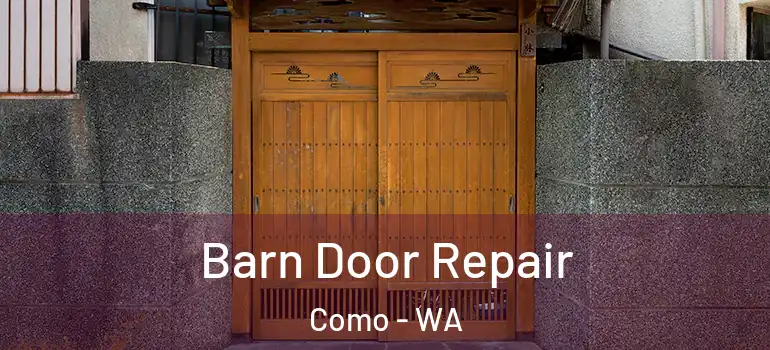 Barn Door Repair Como - WA