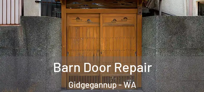Barn Door Repair Gidgegannup - WA