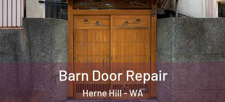 Barn Door Repair Herne Hill - WA