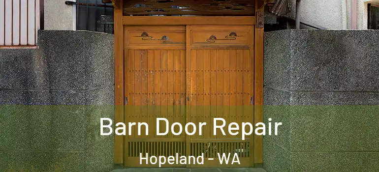 Barn Door Repair Hopeland - WA