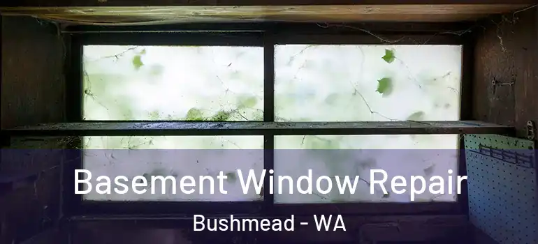  Basement Window Repair Bushmead - WA