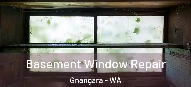 Basement Window Repair Gnangara - WA