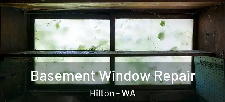  Basement Window Repair Hilton - WA
