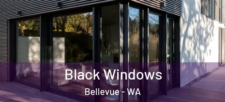 Black Windows Bellevue - WA