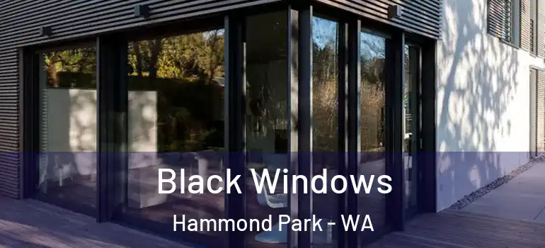 Black Windows Hammond Park - WA