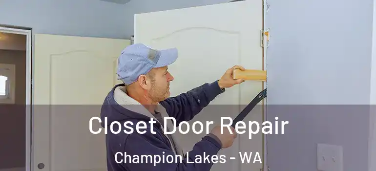 Closet Door Repair Champion Lakes - WA