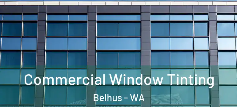 Commercial Window Tinting Belhus - WA