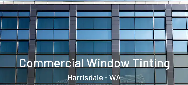  Commercial Window Tinting Harrisdale - WA