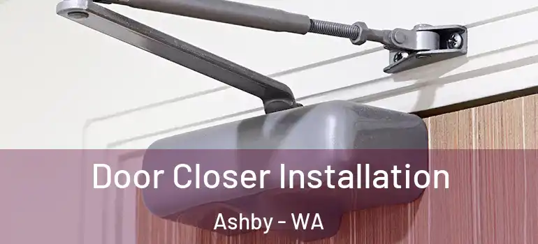  Door Closer Installation Ashby - WA