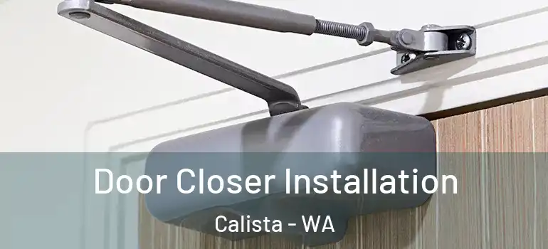 Door Closer Installation Calista - WA