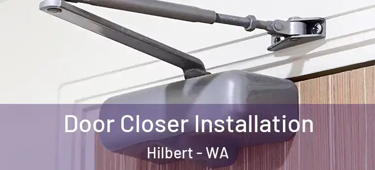 Door Closer Installation Hilbert - WA