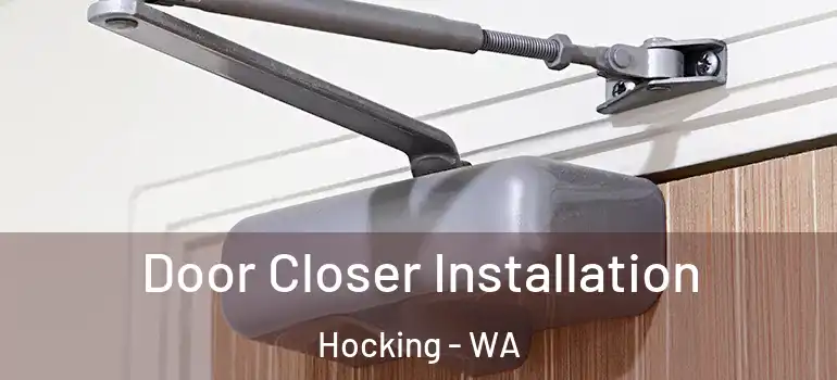 Door Closer Installation Hocking - WA