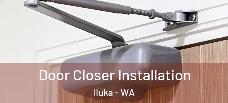  Door Closer Installation Iluka - WA
