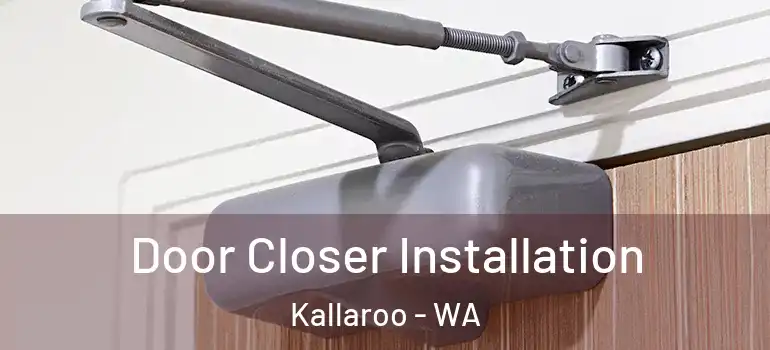 Door Closer Installation Kallaroo - WA