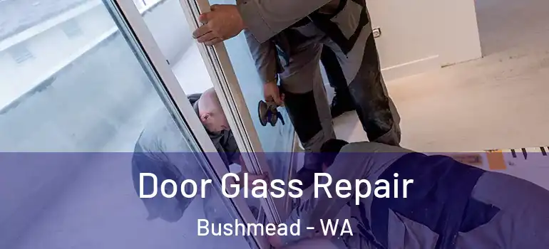  Door Glass Repair Bushmead - WA