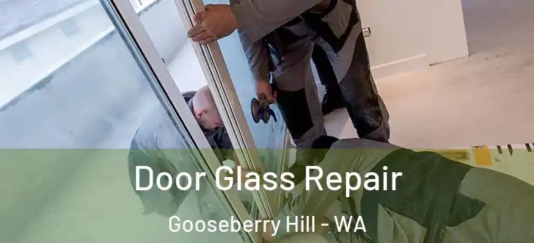Door Glass Repair Gooseberry Hill - WA
