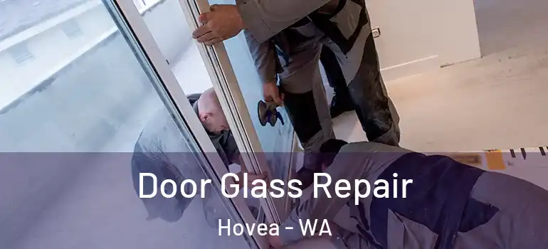 Door Glass Repair Hovea - WA