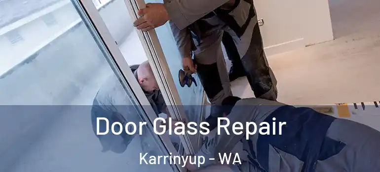Door Glass Repair Karrinyup - WA