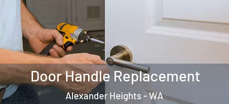 Door Handle Replacement Alexander Heights - WA