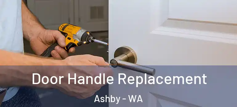 Door Handle Replacement Ashby - WA