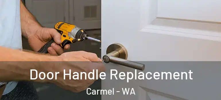 Door Handle Replacement Carmel - WA