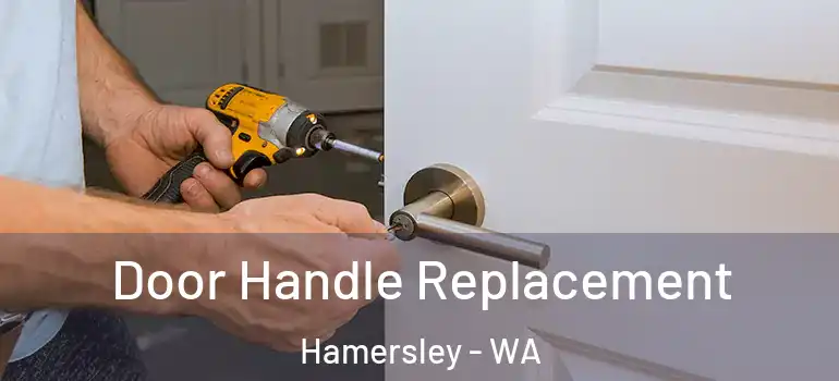  Door Handle Replacement Hamersley - WA