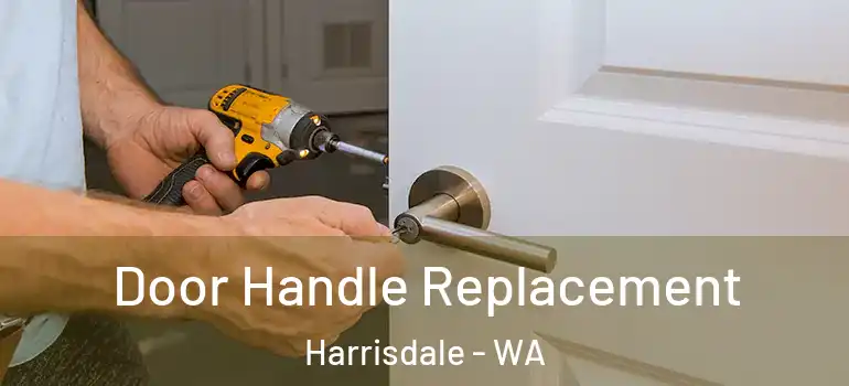 Door Handle Replacement Harrisdale - WA