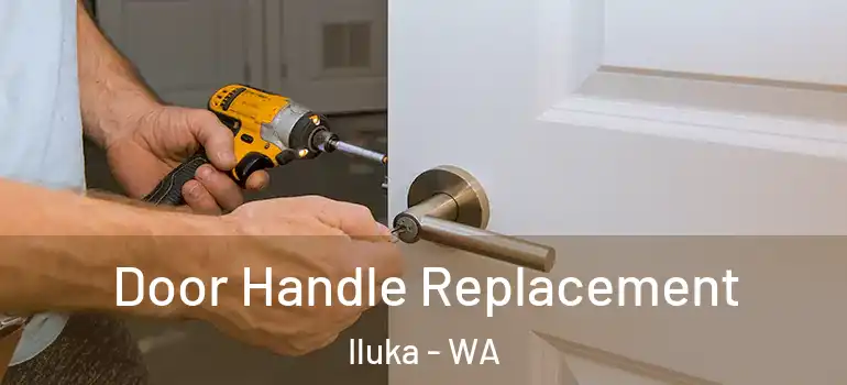  Door Handle Replacement Iluka - WA