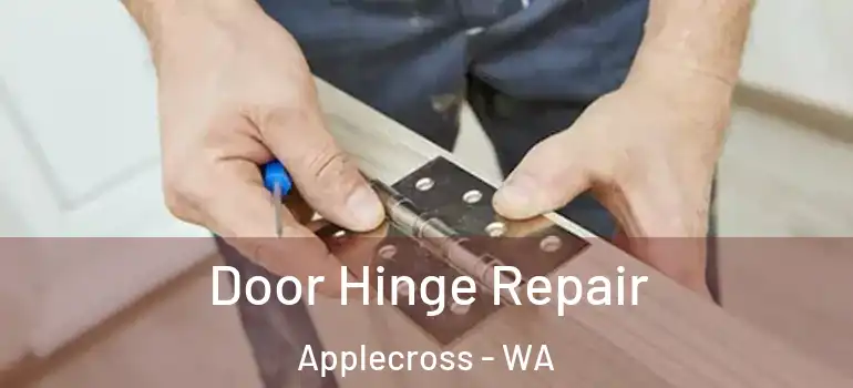  Door Hinge Repair Applecross - WA