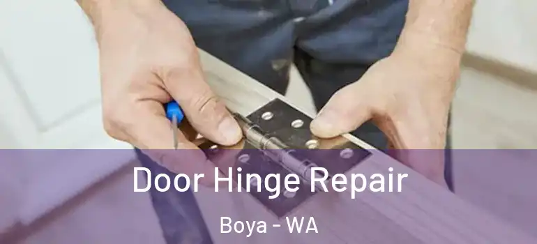  Door Hinge Repair Boya - WA