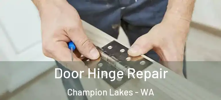 Door Hinge Repair Champion Lakes - WA