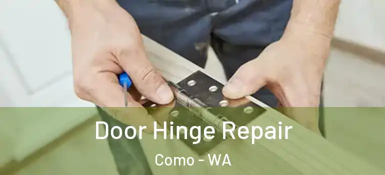  Door Hinge Repair Como - WA