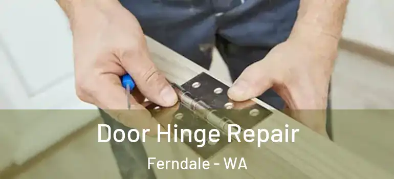 Door Hinge Repair Ferndale - WA