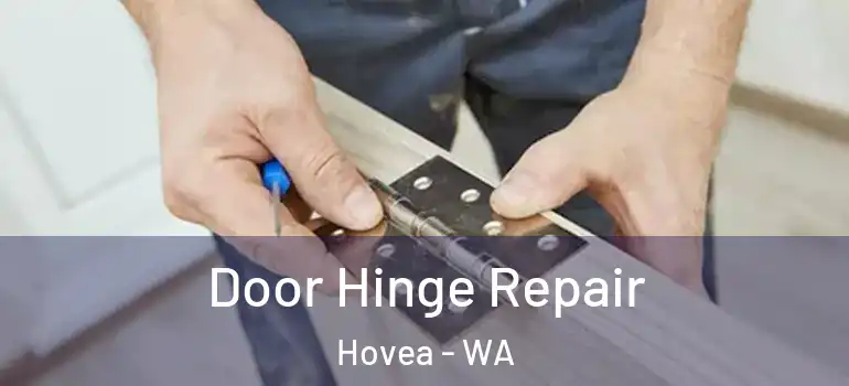  Door Hinge Repair Hovea - WA