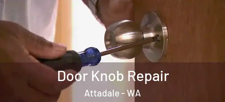  Door Knob Repair Attadale - WA