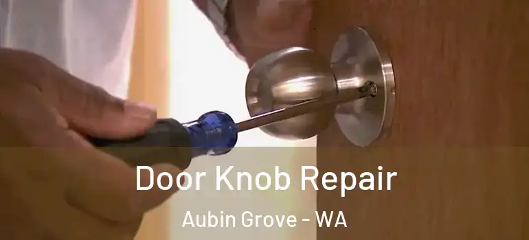 Door Knob Repair Aubin Grove - WA