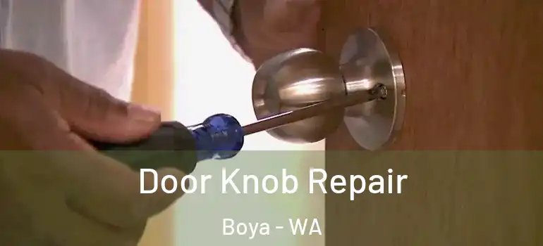Door Knob Repair Boya - WA