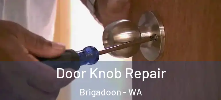  Door Knob Repair Brigadoon - WA