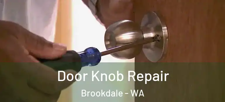  Door Knob Repair Brookdale - WA