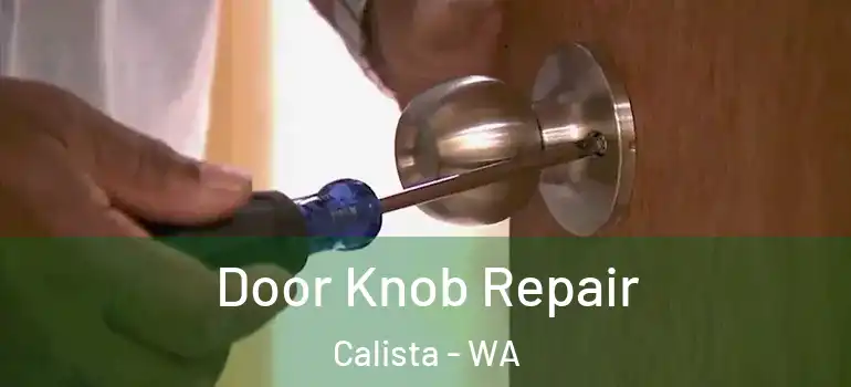 Door Knob Repair Calista - WA