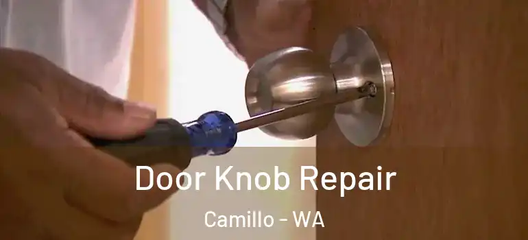 Door Knob Repair Camillo - WA
