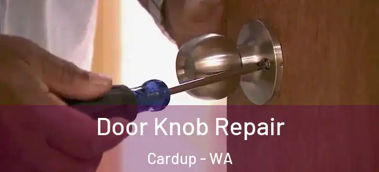  Door Knob Repair Cardup - WA