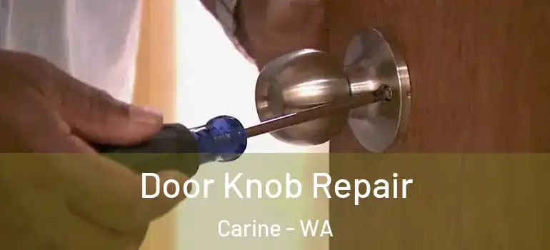 Door Knob Repair Carine - WA