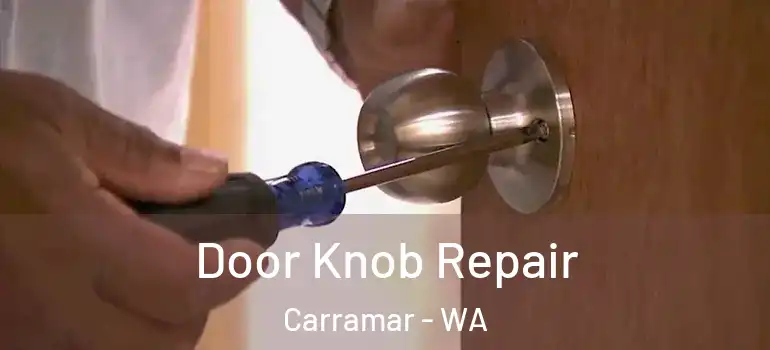  Door Knob Repair Carramar - WA
