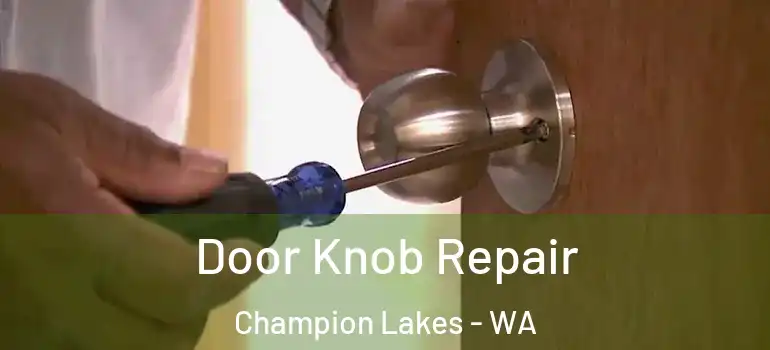 Door Knob Repair Champion Lakes - WA