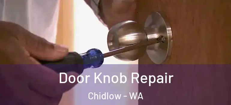  Door Knob Repair Chidlow - WA